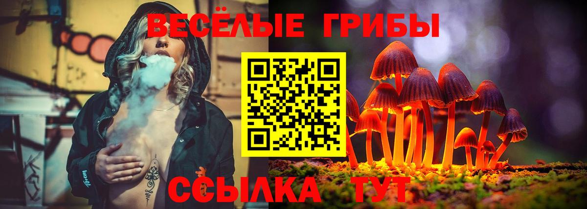 Дивногорск  Галлюциногенные грибы мухоморы  Вход с VPN 
